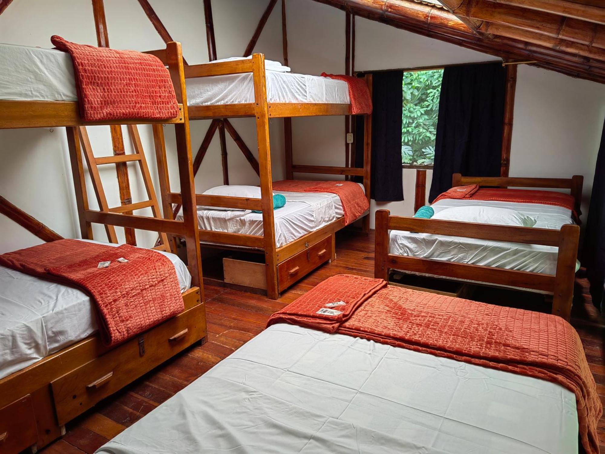 Wisdom Forest Lodge Tena Extérieur photo