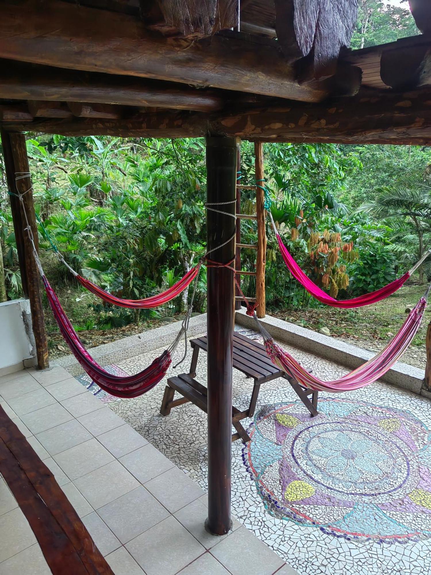 Wisdom Forest Lodge Tena Extérieur photo